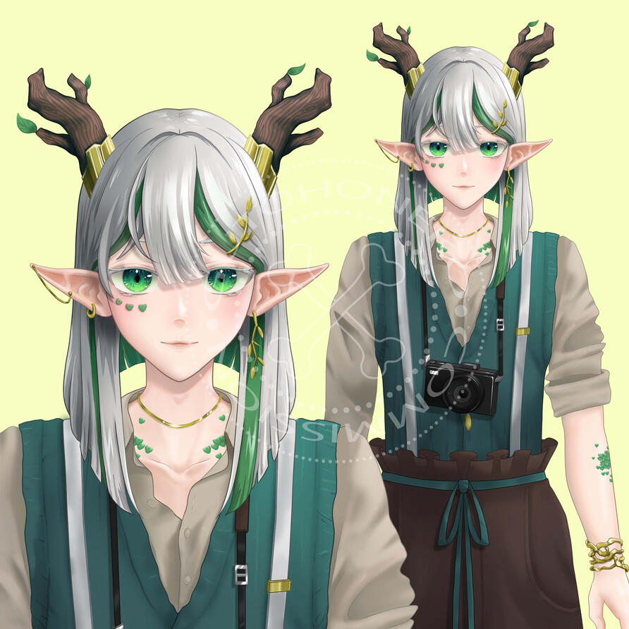 Half body for veles tarragon
